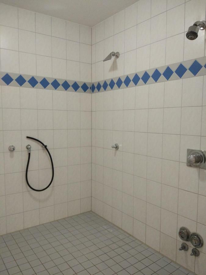 Ferienwohnung Seestern Schluchsee Eksteriør billede
